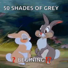 https://media.tenor.com/images/d048bd585fc2fade5a762275ea216afc/tenor.gif