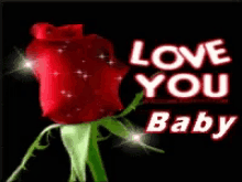 Love You Baby Rose Gif Loveyoubaby Rose Ily Discover Share Gifs