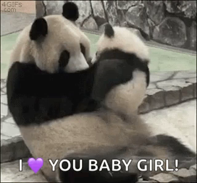 Ilove You Baby Girl Panda Gif Iloveyoubabygirl Panda Love Discover Share Gifs