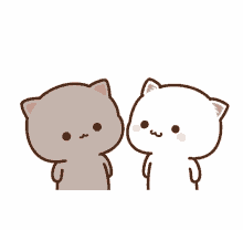Kitten Cat GIF - Kitten Cat Kiss GIFs