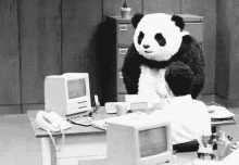 Panda Throwing Computer Gif