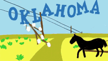 Oklahoma GIFs | Tenor