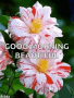 Good Morning Sparkles GIF - GoodMorning Sparkles Flowers GIFs