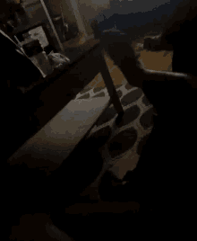 Gg Allin Gif 5 Gg Allin Gif 5