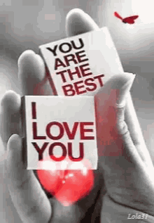Youre The Best ILove You GIF - YoureTheBest ILoveYou Butterfly GIFs