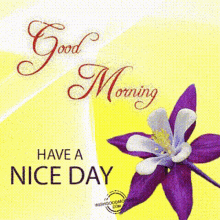 Good Morning Have ANice Dayआपकादिनशुभहो GIF - GoodMorning HaveANiceDayआपकादिनशुभहो शुभप्रभात GIFs