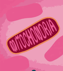 Mitochondria Cells GIF - Mitochondria Cells O2 - Discover ...