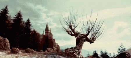 whomping willow harry potter