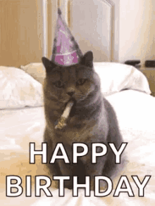 Birthday Happy Birthday GIF - Birthday HappyBirthday Cat GIFs