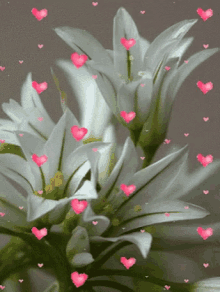 The popular Flowers GIFs everyone's sharing