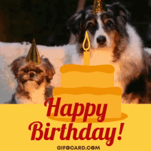 Happy Birthday Dogs Gifs Tenor