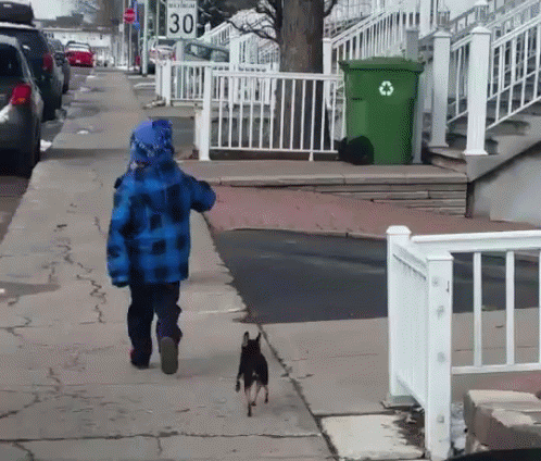 untitled.gif
