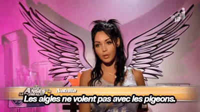 Les Aigles Ne Volent Pas Avec Les Pigeons Gif Nabillabenattia Discover Share Gifs