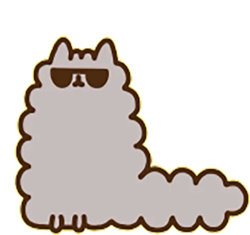 sunglasses pusheen