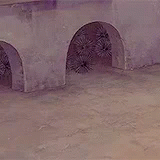 untitled.gif