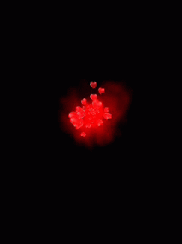untitled.gif