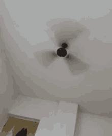 Roof Fan Gif Do You Want To Come Across A Gif Artist Who