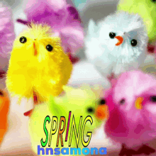 Nowruz Gifs Tenor