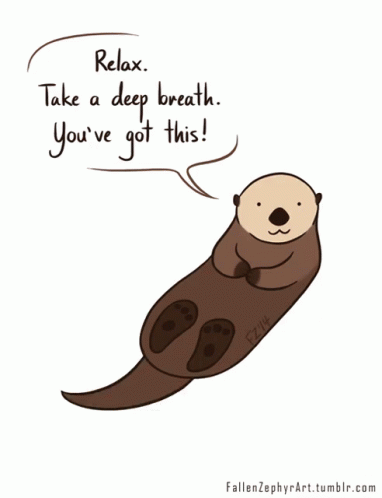 you've got this