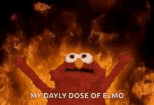 Burning Elmo GIFs | Tenor