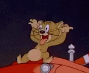 Tom And Jerry Teasing GIF