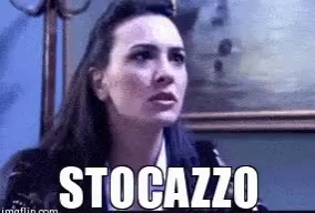 Stocazzo Karinproia GIF - Stocazzo Karinproia Boris - Discover & Share GIFs