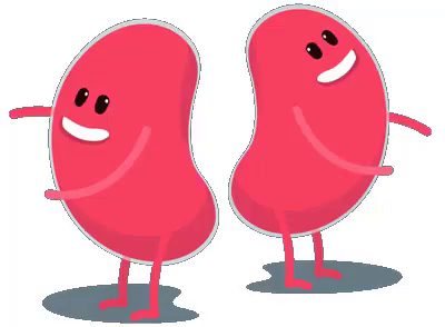 kidney gifs tenor kidney gifs tenor