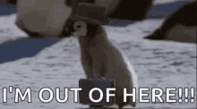 Im Out Of Here GIFs | Tenor