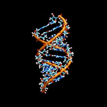 Dna Wallpaper Gif If you re looking for the best dna wallpaper then ...