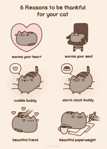 Featured image of post Pusheen Wallpaper Gif Tons of awesome pusheen the cat wallpapers to download for free