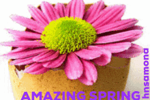 Nowruz Gifs Tenor