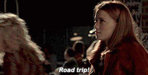 We are going to the trip