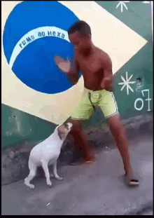 boy and dog dancing