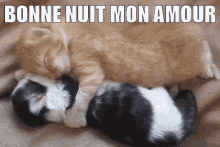 Bonne Nuit Mon Amour Gif Bonnenuitmonamour Kiss Sweet Discover Share Gifs
