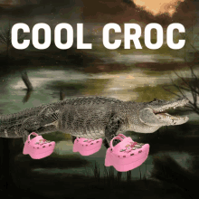 crocodile in crocs