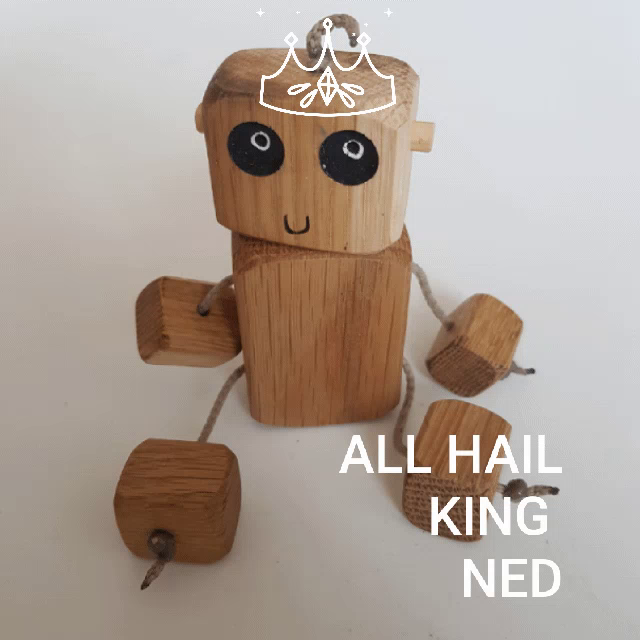 ned wooden toy