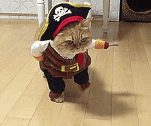 Pirate Cat GIF - Pirate Cat CuteKitten GIFs