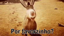 Por Favorzinho / Por Favor / Tô Pedindo / Deixa Vai / Shrek / Burro GIF - Donkey Shrek PrettyPlease GIFs