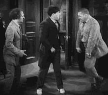 3stooges GIFs | Tenor