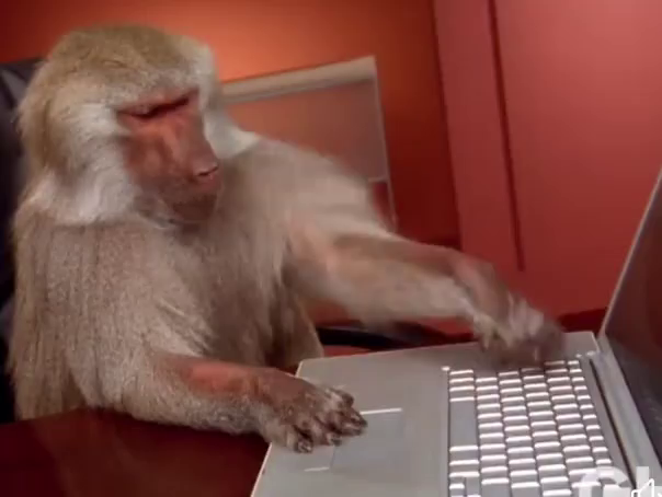 Spike Monkey Typing GIF - Spike Monkey Typing - Discover &amp; Share GIFs