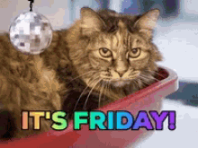 Image result for animated . it's friday . cat