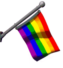 Image result for rainbow flag gif