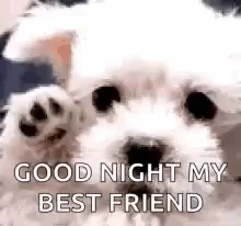 Goodnight Best Friend Gifs Tenor