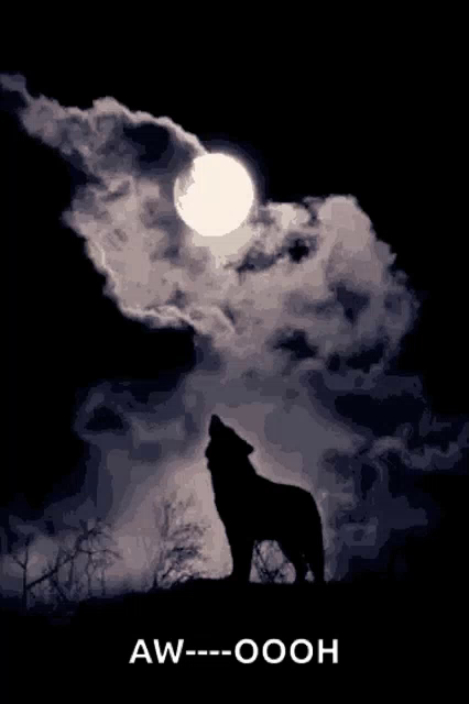 Wolf Howling At Moon Gifs Tenor