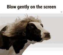Image result for licking the computer screen gif