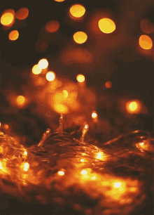 Blinking Christmas Lights Gif GIFs | Tenor