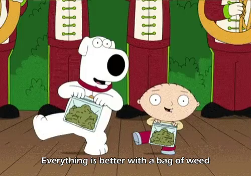 Download Weed Family Guy Gif Weed Familyguy Stewie Discover Share Gifs