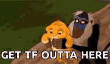 Get Out The Lion King GIF - GetOut TheLionKing Comedy GIFs