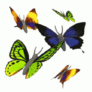 Afbeeldingsresultaat voor butterfly gif