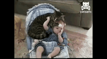 A Baby And A Cat Cuddle In A Crib And It Is Absolutely Adorable GIF - Cute Baby Cat GIFs
